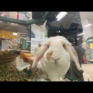 Meet your Posher, Mary